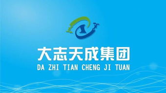大志天成集團是做什么的
